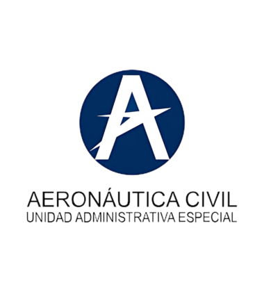 Comercialiadora 1