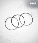 Anillos